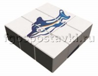 Куб "Дельфин" - fgospostavki.ru - Зеленогорск