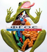 Модель барельефная "Внутреннее строение лягушки" - fgospostavki.ru - Зеленогорск