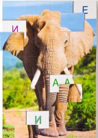 Магнитная орфография (безударные гласные, 1 класс) "Слон" - fgospostavki.ru - Зеленогорск