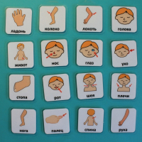 Набор карточек "Части тела" - fgospostavki.ru - Зеленогорск