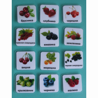 Набор карточек "Ягоды" - fgospostavki.ru - Зеленогорск