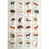 Набор карточек "ЖИВОТНЫЕ" - fgospostavki.ru - Зеленогорск