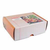 Набор муляжей грибов съедобных и ядовитых - fgospostavki.ru - Зеленогорск