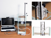 Набор демонстрационный «Гидростатика и плавание тел» - fgospostavki.ru - Зеленогорск