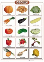 Таблицы "Окружающий мир" (формат А2, ламинированные, 10 таблиц) - fgospostavki.ru - Зеленогорск