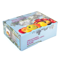 Набор муляжей "Дикая форма и культурные сорта яблок" - fgospostavki.ru - Зеленогорск