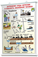 Плакаты по общей экологии для оформления кабинета. - fgospostavki.ru - Зеленогорск