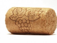 Роторасширитель Пробка - fgospostavki.ru - Зеленогорск