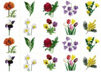 Комплект карточек "Запоминай, играй, считай" - Цветы - fgospostavki.ru - Зеленогорск