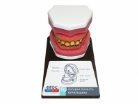 Демонстрационная модель "Ротовая полость курильщика" - fgospostavki.ru - Зеленогорск