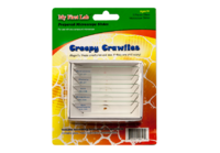 Набор микропрепаратов для микроскопа №2 «Насекомые» - fgospostavki.ru - Зеленогорск