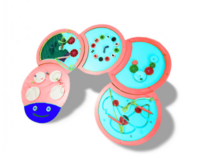 Тактильно-развивающая панель «Гусеница» - fgospostavki.ru - Зеленогорск