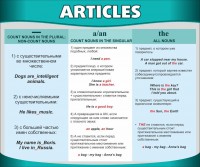 Стенд "Артикли" - fgospostavki.ru - Зеленогорск