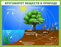 Стенд "Круговорот веществ" - fgospostavki.ru - Зеленогорск