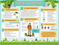 Стенд "Клещевой энцефалит" - fgospostavki.ru - Зеленогорск