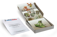 Модель-аппликация "Взаимодействия в природных сообществах" (набор из 23 карт) - fgospostavki.ru - Зеленогорск