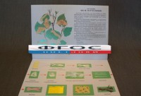 Коллекция "Шелк для начальной школы" - fgospostavki.ru - Зеленогорск