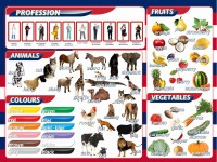 Стенд "Цвета, животные, профессии, фрукты, овощи" - fgospostavki.ru - Зеленогорск