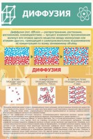 Стенд "Диффузия" - fgospostavki.ru - Зеленогорск