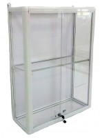 Шкаф-витрина для кубков и наград Вариант 1 - fgospostavki.ru - Зеленогорск