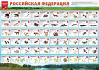 Стенд "Красная книга РФ" - fgospostavki.ru - Зеленогорск