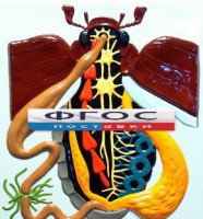 Модель барельефная "Внутреннее строение жука" - fgospostavki.ru - Зеленогорск