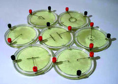 Демонстрационный комплект «Силовые линии электрического поля разных систем зарядов» - fgospostavki.ru - Зеленогорск