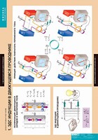 Комплект таблиц. Физика. Электромагнетизм. - fgospostavki.ru - Зеленогорск