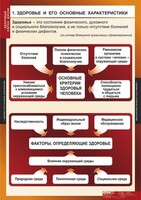 Комплект таблиц. ОБЖ. Здоровый образ жизни. - fgospostavki.ru - Зеленогорск