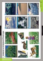 Комплект таблиц. Окружающий мир. Летние и осенние изменения в природе. - fgospostavki.ru - Зеленогорск