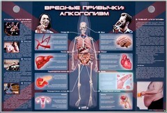 Электрифицированный стенд "Вредные привычки: алкоголизм" - fgospostavki.ru - Зеленогорск