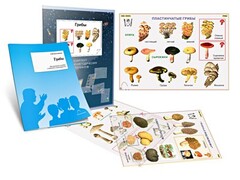 Комплект кодотранспарантов "Грибы" - fgospostavki.ru - Зеленогорск