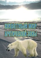 DVD "Животный мир Арктической зоны" - fgospostavki.ru - Зеленогорск