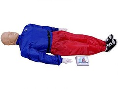 "Александр-04" тренажер-манекен взрослого пострадавшего для отработки приемов сердечно-легочной реанимации (голова, туловище, конечности) с контроллером - fgospostavki.ru - Зеленогорск