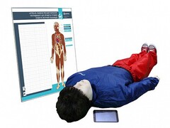 "Игорь-02" манекен-тренажер взрослого пострадавшего для отработки приемов сердечно-легочной реанимации (голова, туловище, конечности) с беспроводным планшетным компьютером и настенным анатомическим табло - fgospostavki.ru - Зеленогорск