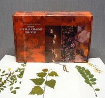 Гербарий для Начальной школы (28 видов) - fgospostavki.ru - Зеленогорск