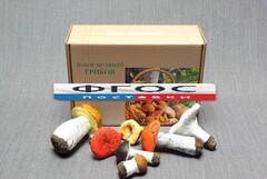 Набор муляжей грибов - fgospostavki.ru - Зеленогорск