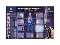 Электрифицированный стенд "Вредные привычки: наркомания" - fgospostavki.ru - Зеленогорск