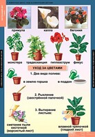 Комплект таблиц. Окружающий мир 1 класс. - fgospostavki.ru - Зеленогорск