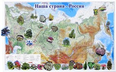 Магнитные карточки "Растения" - fgospostavki.ru - Зеленогорск