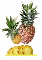 Комплект карточек "Запоминай, играй, считай" - Фрукты - fgospostavki.ru - Зеленогорск