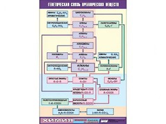 Таблица демонстрационная "Генетическая связь органических веществ" (винил 70x100) - fgospostavki.ru - Зеленогорск