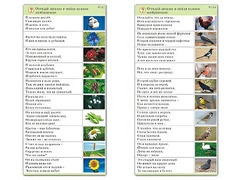 Комплект карточек (10) "Обучающий калейдоскоп. Природа" - fgospostavki.ru - Зеленогорск