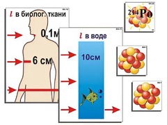 Модель-аппликация "Явление радиоактивности" (ламинированная) - fgospostavki.ru - Зеленогорск