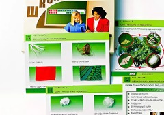 Коллекция "Шелк и продукты его переработки" (средняя школа) - fgospostavki.ru - Зеленогорск