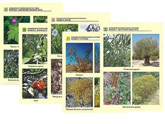 Гербарий фотографический по географии - fgospostavki.ru - Зеленогорск