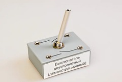 Выключатель двухполюсный (демонстрационный) - fgospostavki.ru - Зеленогорск