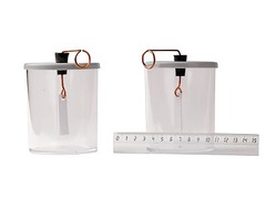 Электроскопы (2 штуки) - fgospostavki.ru - Зеленогорск