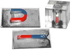 Набор для демонстрации объемных спектров постоянных магнитов - fgospostavki.ru - Зеленогорск