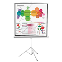 Экран на штативе DSKD-1104 - fgospostavki.ru - Зеленогорск